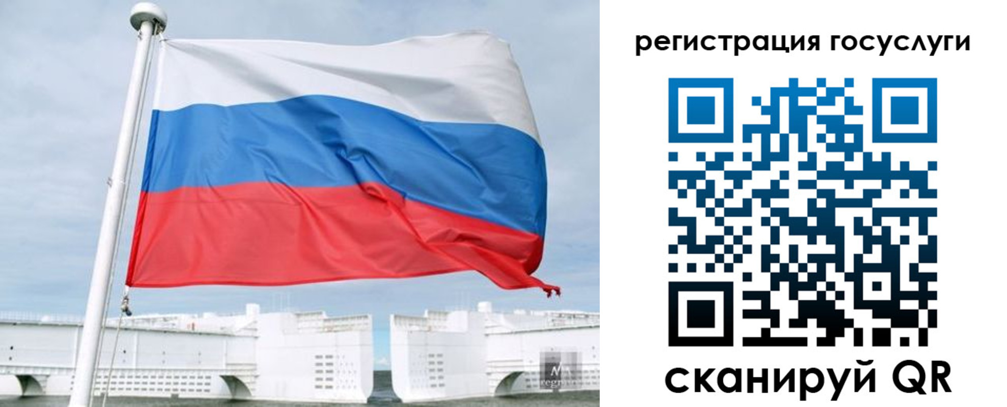 временная регистрация поиск в Электрогорске